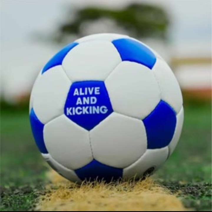 Football - Pigmented Size 5 